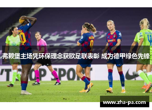 弗赖堡主场凭环保理念获欧足联表彰 成为德甲绿色先锋