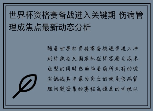 世界杯资格赛备战进入关键期 伤病管理成焦点最新动态分析