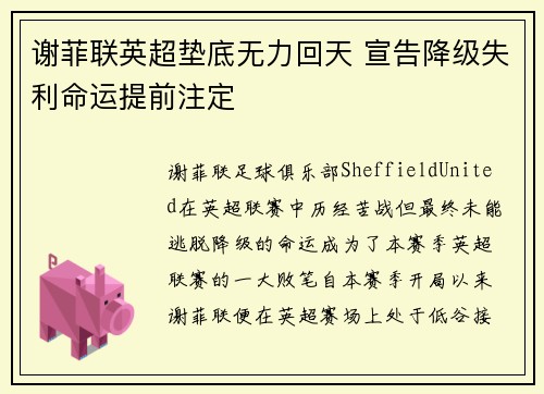 谢菲联英超垫底无力回天 宣告降级失利命运提前注定