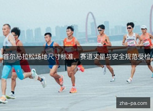 首尔马拉松场地尺寸标准，赛道丈量与安全规范受检